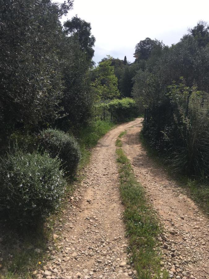 Cottage Pura Vigna Immerso Nella Natura Vicino Al Mare Porto Santo Stefano  Buitenkant foto