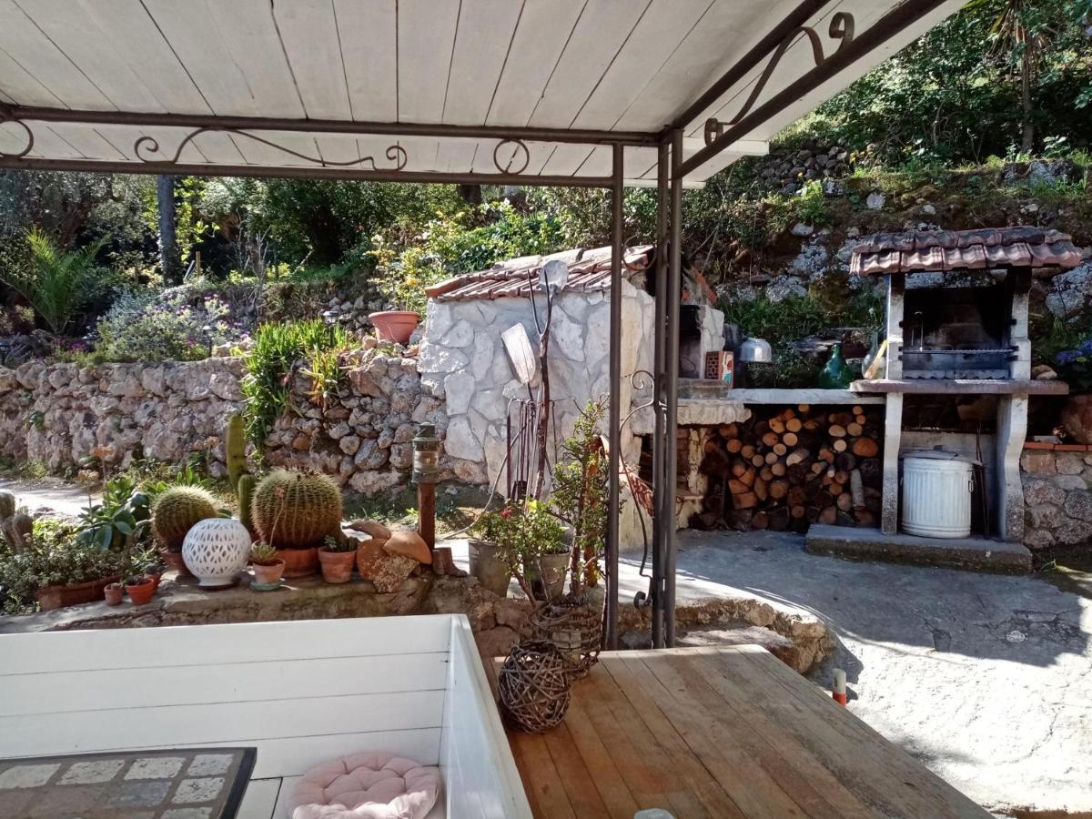 Cottage Pura Vigna Immerso Nella Natura Vicino Al Mare Porto Santo Stefano  Buitenkant foto