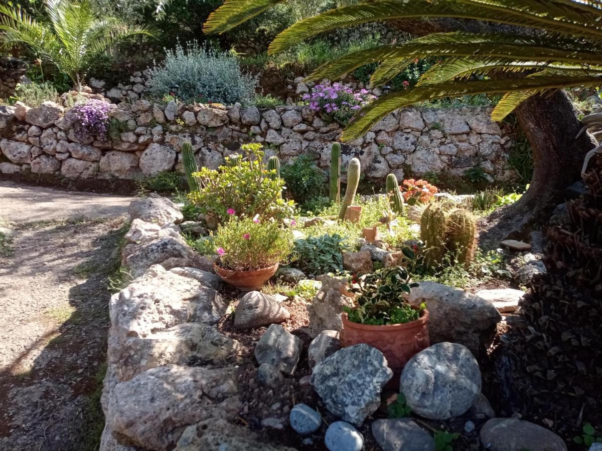 Cottage Pura Vigna Immerso Nella Natura Vicino Al Mare Porto Santo Stefano  Buitenkant foto