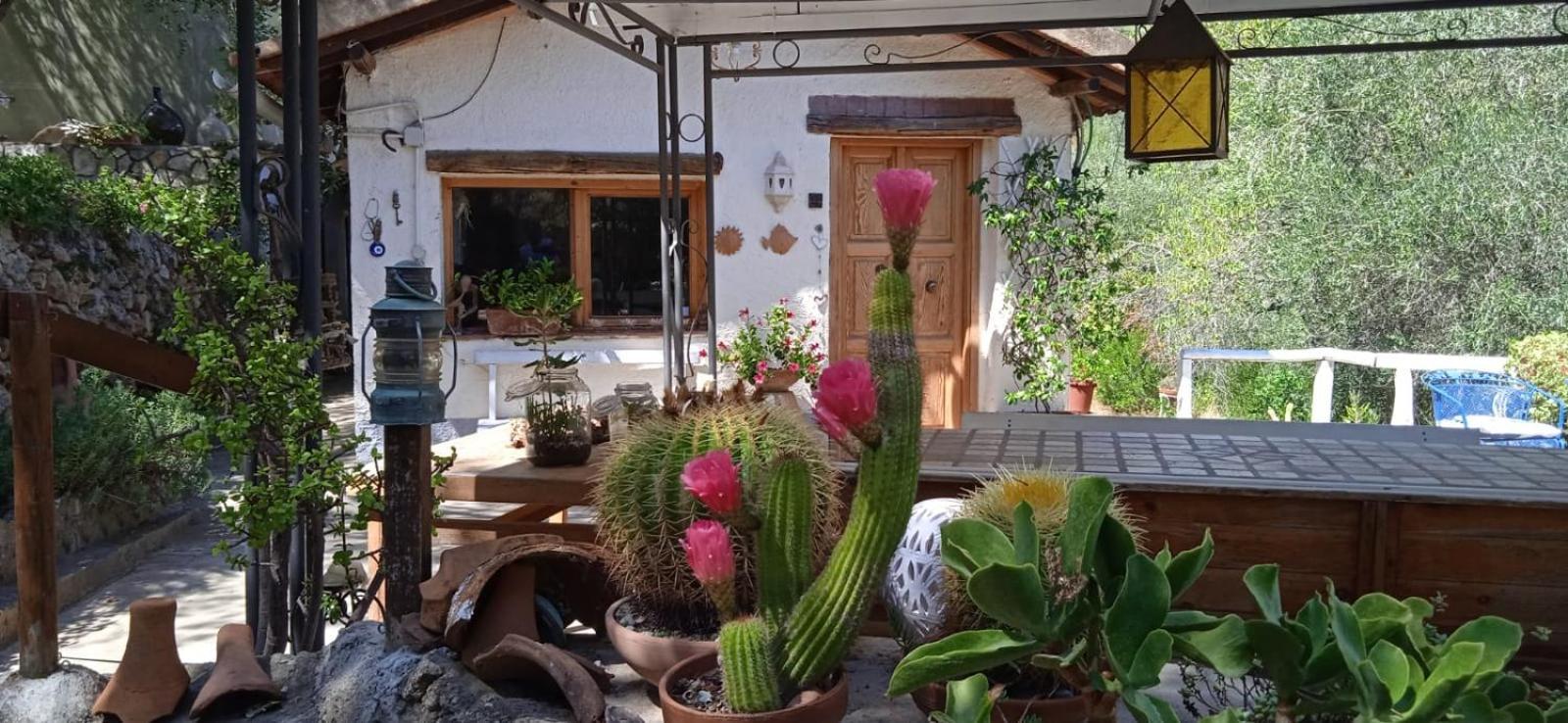 Cottage Pura Vigna Immerso Nella Natura Vicino Al Mare Porto Santo Stefano  Buitenkant foto