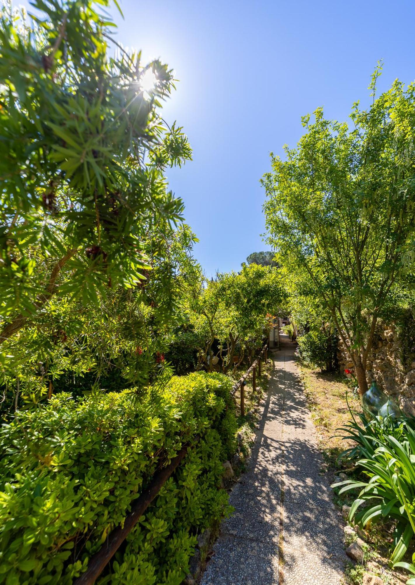 Cottage Pura Vigna Immerso Nella Natura Vicino Al Mare Porto Santo Stefano  Buitenkant foto