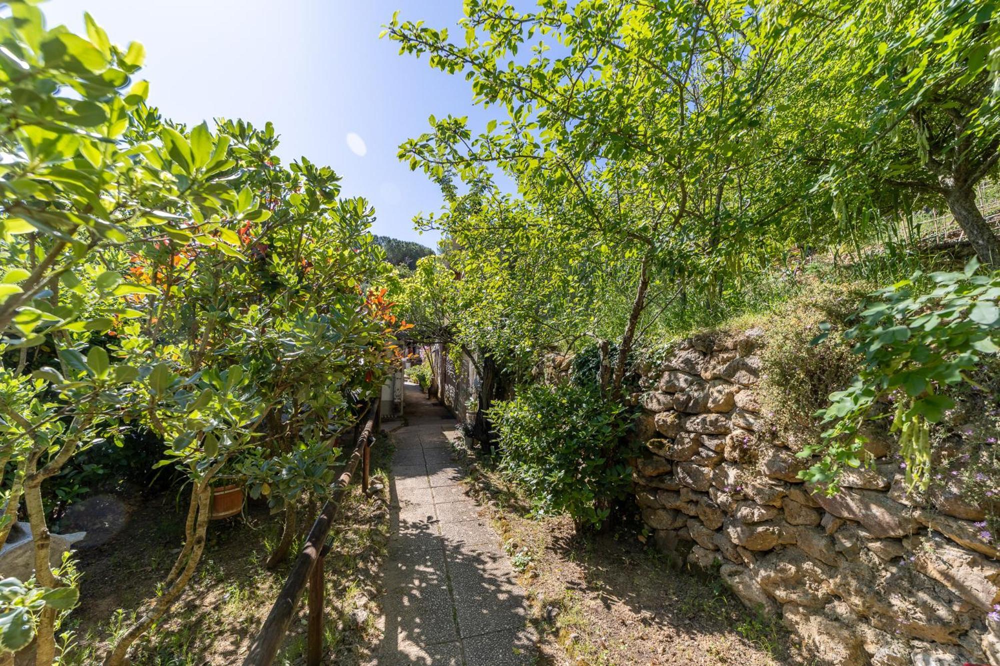 Cottage Pura Vigna Immerso Nella Natura Vicino Al Mare Porto Santo Stefano  Buitenkant foto